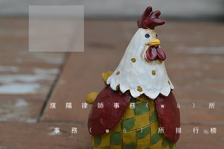 濮陽律師事務(wù)所哪家好(濮陽縣律師事務(wù)所排行榜)