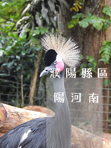 濮陽縣區(qū)偷盜多少錢夠立案標準?濮陽(河南盜竊多少金額可以立案)