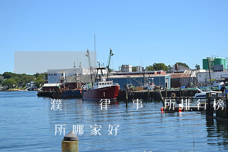 濮陽縣律師事務所排行榜(河南濮陽律師事務所哪家好)