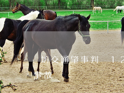 濰坊交通肇事判決(12月9日山東濰坊交通事故)