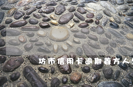 濰坊市信用卡逾期姜方 人生的價值議論文分論點