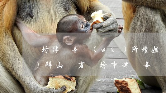 濰坊律師事務(wù)所婚姻調(diào)解(山東省濰坊市律師事務(wù)所電話)
