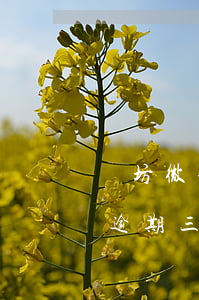 濰坊微粒貸逾期會(huì)上門嗎(微粒貸逾期三個(gè)月短信通知說要上門)