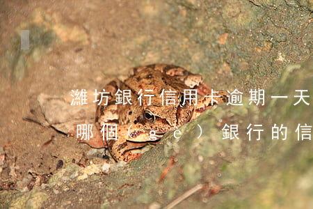 濰坊銀行信用卡逾期一天怎么補(bǔ)救(哪個(gè)銀行的信用卡不能逾期一天)