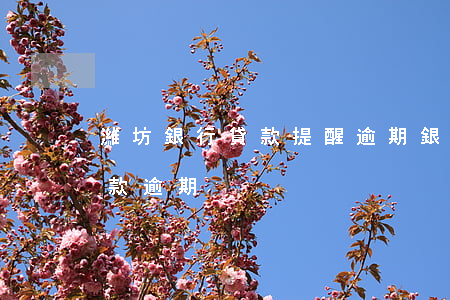 濰坊銀行貸款提醒逾期(銀行不提醒造成的貸款逾期)