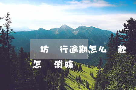 濰坊銀行逾期怎么還款(銀行貸款逾期還款后怎樣消除)