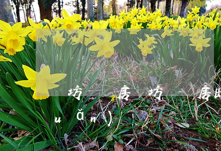 濰坊門頭房(濰坊門頭房出租信息無轉(zhuǎn)讓費)