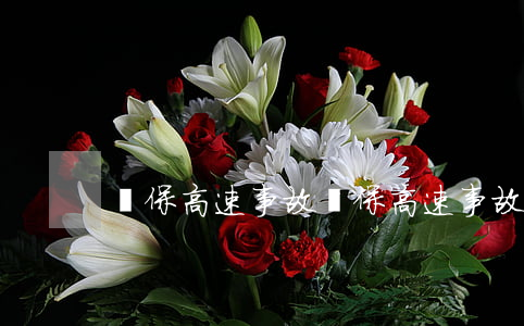 濱保高速事故(濱保高速事故的轎車)