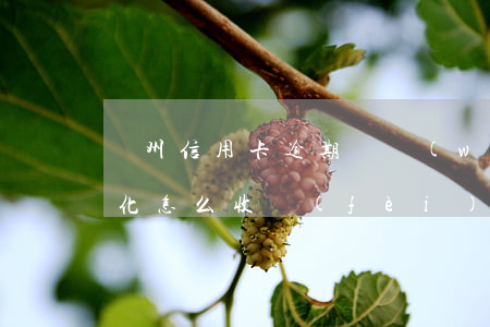 濱州信用卡逾期債務(wù)優(yōu)化怎么收費(fèi)