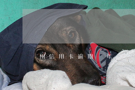 濱州信用卡逾期兩年