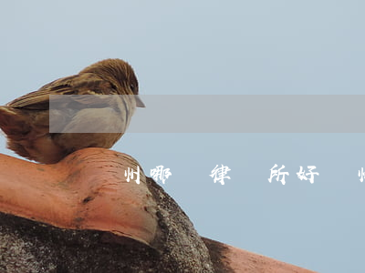 濱州哪個律師所好(濱州十大律師)