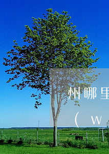 濱州哪里律師事務(wù)所好(濱海律師事務(wù)所哪家好)
