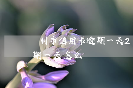 濱州市信用卡逾期一天 2021年信用卡逾期一天怎么辦