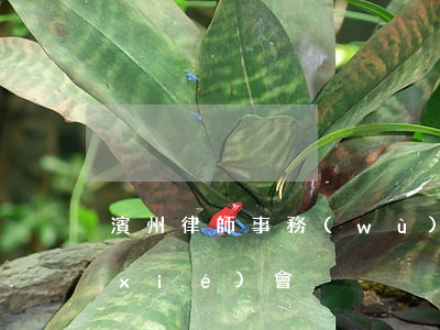 濱州律師事務(wù)所排名(濱州律師協(xié)會)