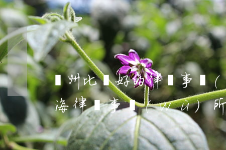 濱州比較好的律師事務(wù)所比較好(濱海律師事務(wù)所哪家好)