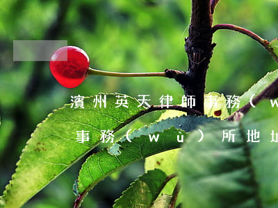 濱州英天律師事務(wù)所(濱州英天律師事務(wù)所地址)
