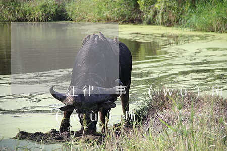 濱江律師事務(wù)所(杭州濱江律師事務(wù)所)