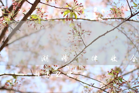 濱湖離婚訴訟律師收費(合肥離婚律師費用一般怎么收費)