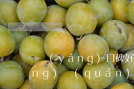 瀏陽(yáng)口碑好的孩子撫養(yǎng)權(quán)律師(瀏陽(yáng)口碑好的孩子撫養(yǎng)權(quán)律師)