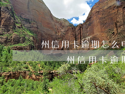 瀘州信用卡逾期怎么申請(qǐng)停息掛賬(瀘州信用卡逾期怎么申請(qǐng)停息掛賬)