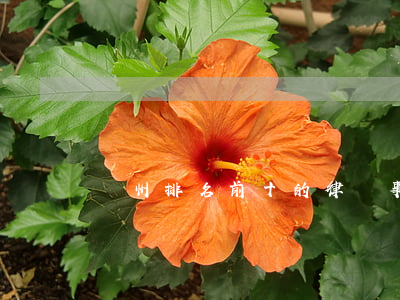 瀘州排名前十的律師事務所