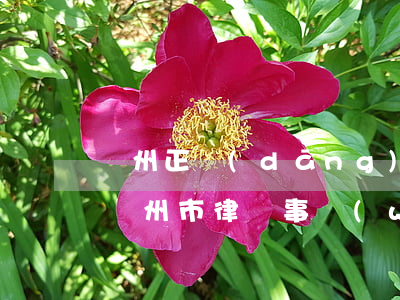 瀘州正當(dāng)律師事務(wù)所(瀘州市律師事務(wù)所)