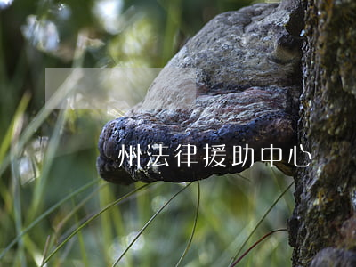 瀘州法律援助中心(瀘縣法律援助中心)