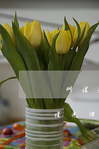 瀘州理光律師事務(wù)所律師名單(瀘州理光律師事務(wù)所律師名單)