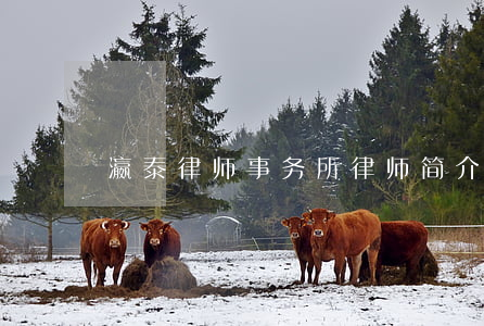 瀛泰律师事务所律师简介(瀛台律师事务所)