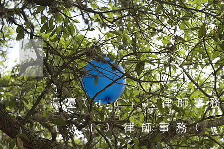 瀛臺(tái)律師事務(wù)所(瀛臺(tái)律師事務(wù)所地址)
