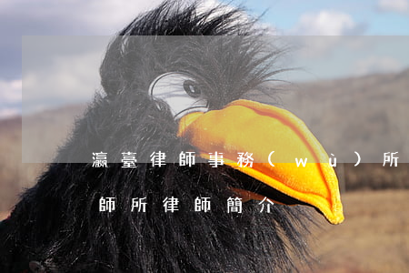 瀛臺律師事務(wù)所怎么樣(北京瀛臺律師所律師簡介)