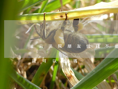 灌云法院朋友借錢不還 朋友借錢不還告上法庭可以還嗎