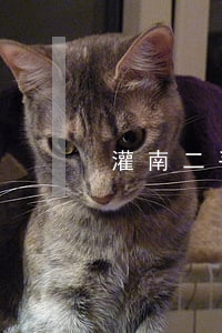 灌南二手房(灌南二手房買賣出售40萬左右)