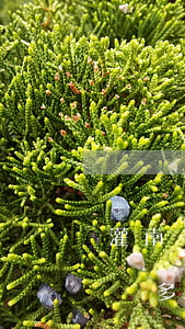 灌南營業(yè)執(zhí)照報稅逾期罰多少錢-灌南營業(yè)執(zhí)照報稅逾期罰多少錢啊