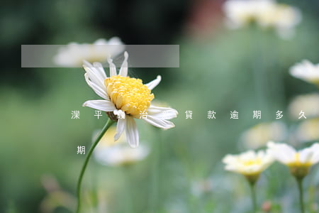 灤平錢治新貸款逾期多久（灤平錢治新貸款逾期）