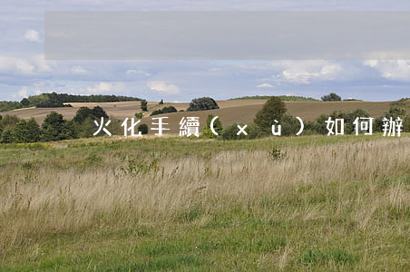火化手續(xù)如何辦理(火化證辦理流程)