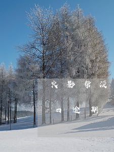 火影帮没有还款入口逾期(火影帮没有还款入口逾期)