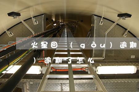 火星回購(gòu)逾期(火星回購(gòu)逾期了怎么辦)