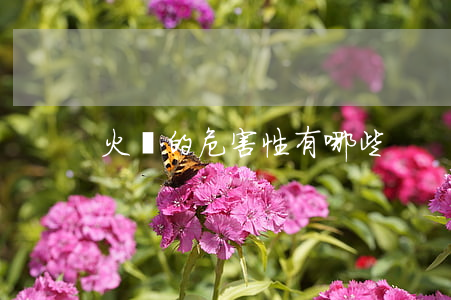 火災的危害性有哪些