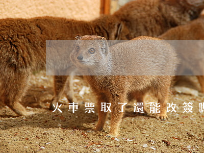 火車票取了還能改簽嗎