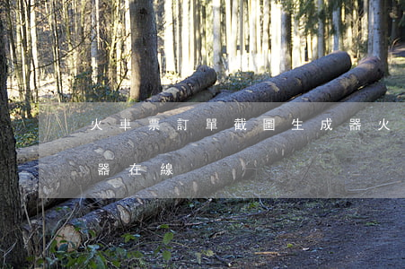 火車票訂單截圖生成器(火車票訂單截圖生成器在線)