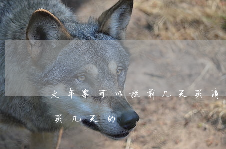 火车票可以提前几天买(请问火车票可以提前买几天的)