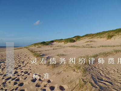 灵寿债务纠纷律师费用(债务纠纷律师费收费标准)