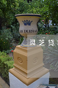 灵芝贷逾期