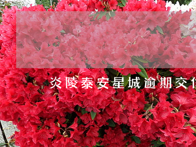 炎陵泰安星城逾期交付違約金怎樣