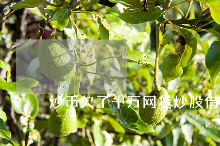 炒币欠了十万网贷(炒股借网贷几十万)
