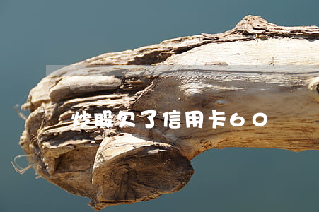 炒股欠了信用卡60萬