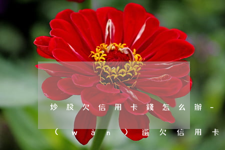 炒股欠信用卡錢怎么辦-我炒股虧了50萬(wàn)還欠信用卡