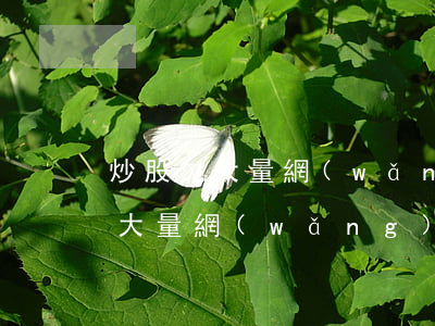 炒股欠大量網(wǎng)貸怎么辦(炒股欠大量網(wǎng)貸怎么辦)