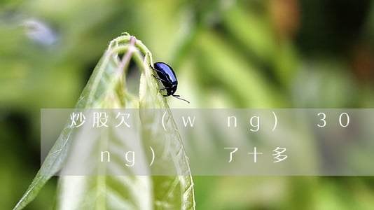 炒股欠網(wǎng)貸30萬(炒股網(wǎng)貸賠了十多萬)